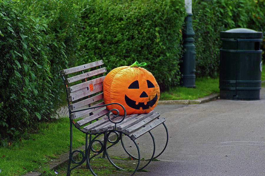 SOUTHPORT. Pumpkin On A Bench. Photograph by Lachlan Main