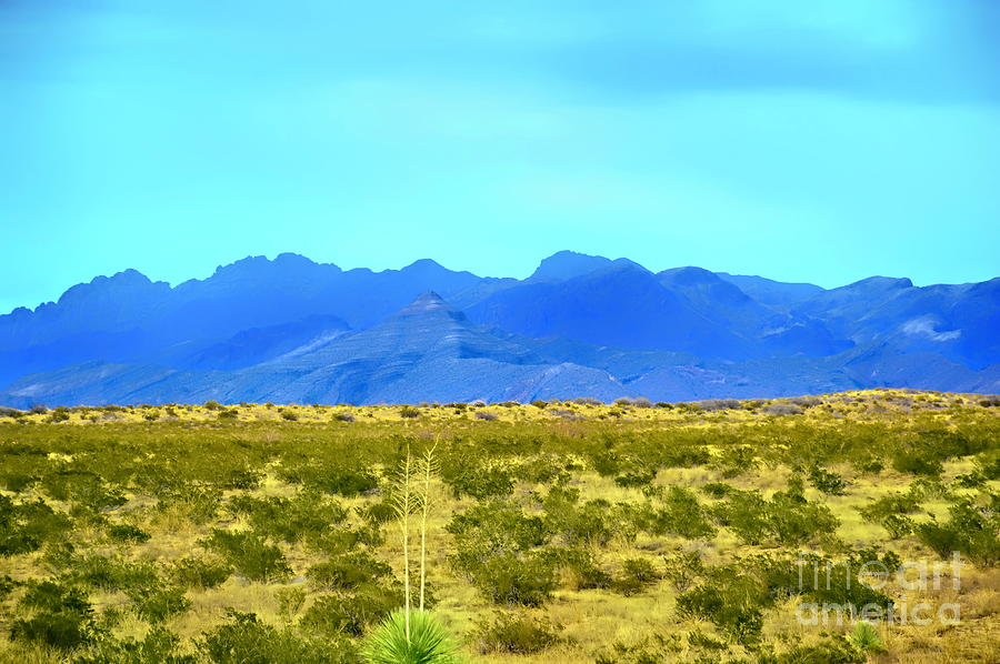 Southwest Blue Mountain Range Photograph by Diana Mary Sharpton