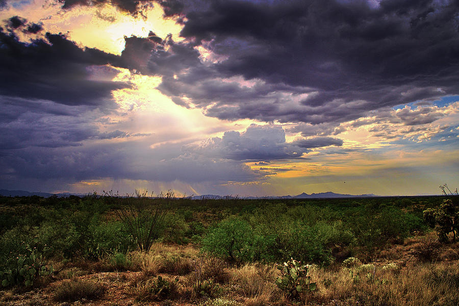 Southwest Desert Sky Glow, Arizona Photograph by Chance Kafka