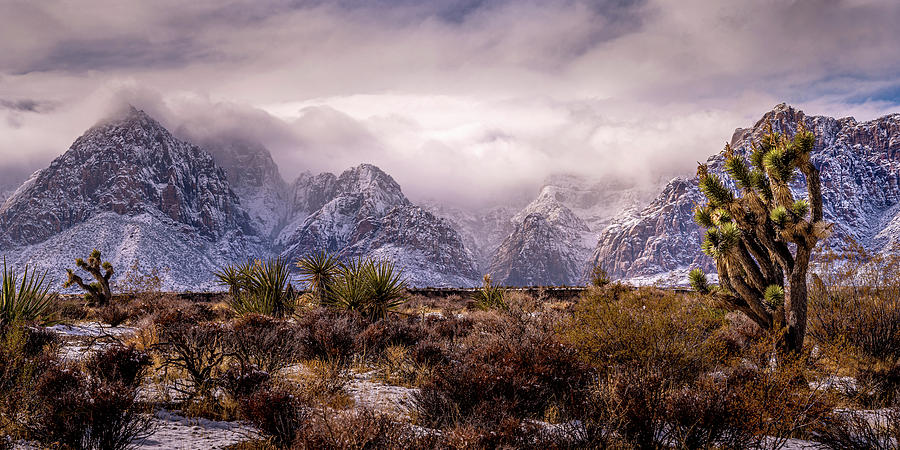 Mountain Photograph - Southwest Snowstorm by Renee Sullivan