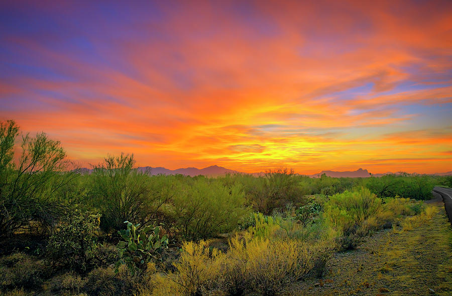 Sunset Photograph - Southwest Sunset h24185 by Mark Myhaver