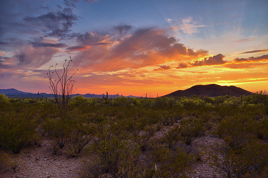 Saguaro National Park Photograph - Southwestern Sunset by Chance Kafka