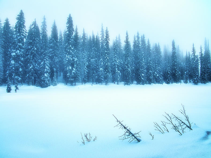 Sovereign Lakes Winter Photograph by Allan Van Gasbeck