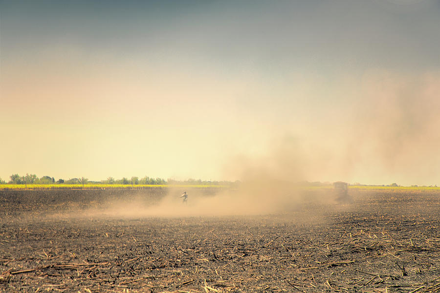 Sow in the dust Photograph by Micah Offman