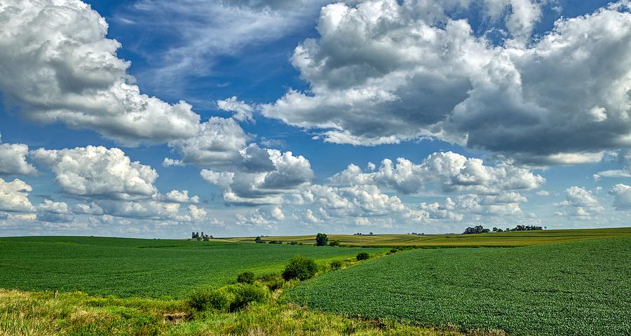 Soybean Field - Iowa Photograph by Mountain Dreams