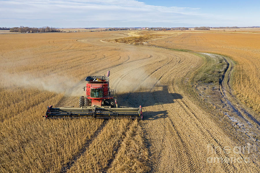 Soybean Harvest Photograph by Jim West