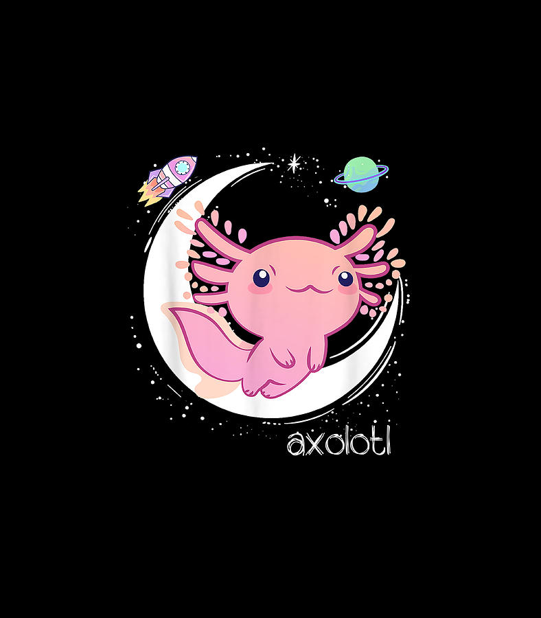Aesthetic Axolotl Poster Anime Cute Axolotl Art Canvas Painting Wall Art  Poster for Bedroom Living Room Decor20x30inch50x75cm  Amazonca Home