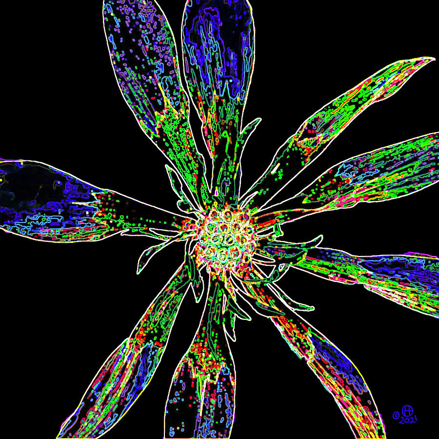 Space Bloom Digital Art by Gary Olsen-Hasek