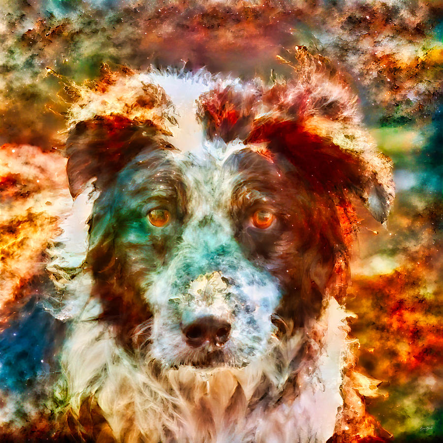 Space Dog Photograph by Bruce Block