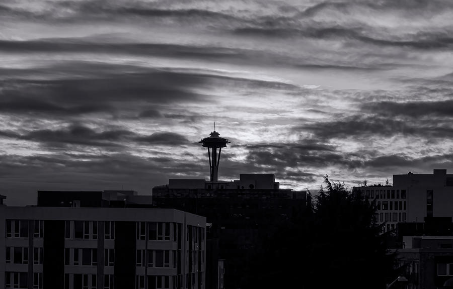 Space Needle Seattle Cityscape Photograph by Cathy Anderson