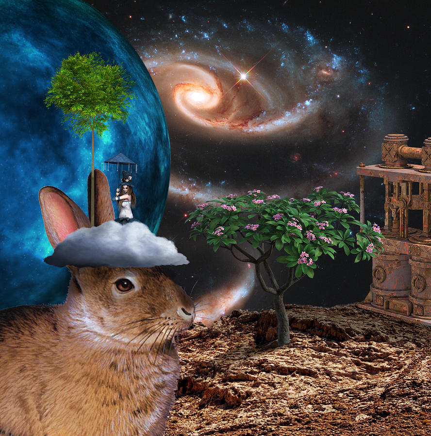 Space Rabbit Digital Art by Ally White