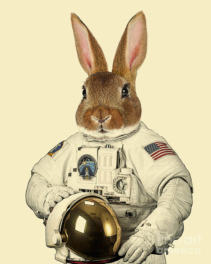 Rabbit Digital Art - Space Rabbit by Madame Memento