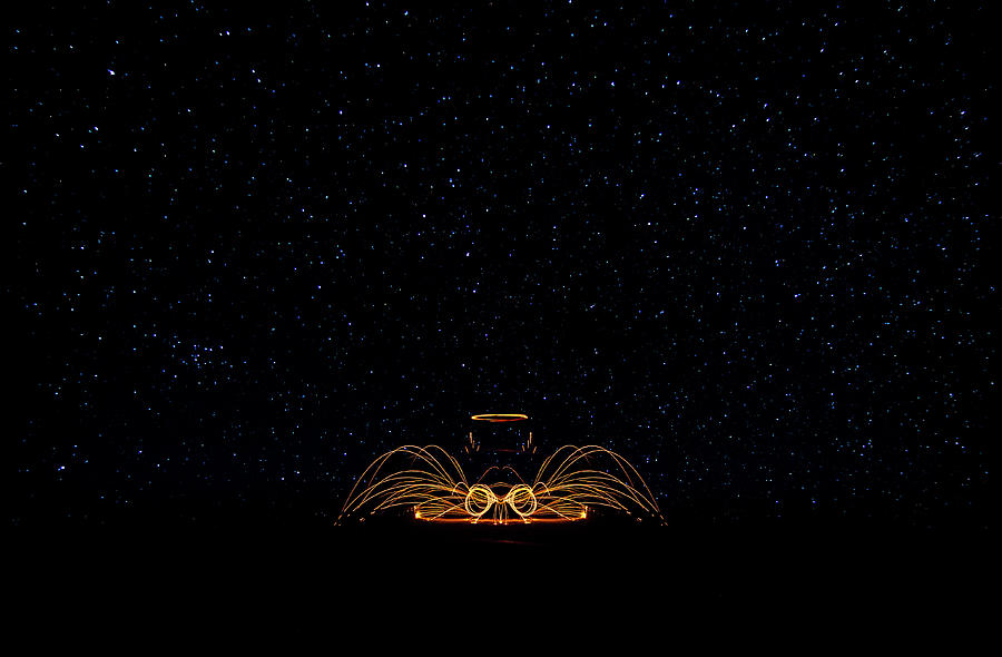 Space Spider Digital Art by Pelo Blanco Photo