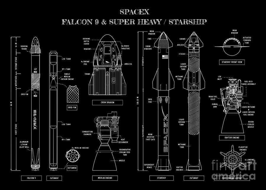 SPACEX Falcon 9 amp Super Heavy Starship White Stencil No Background ...