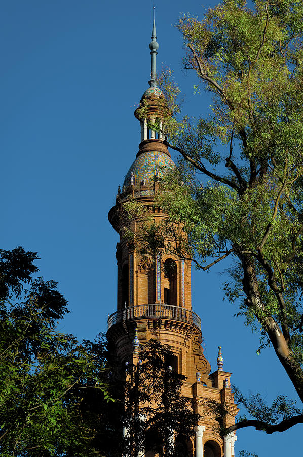Spain Square Tower Detail and Trees in Seville Photograph by Angelo DeVal