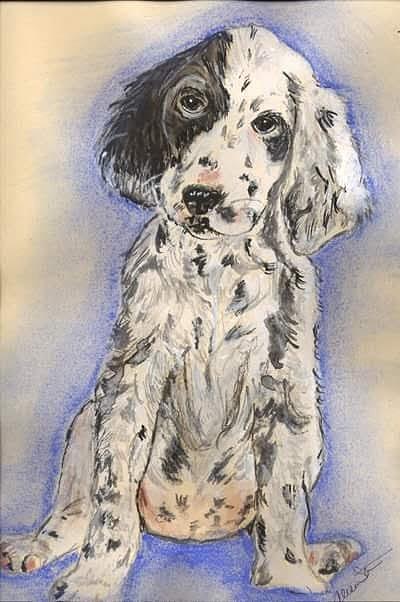  Spaniel Mixed Media by Alison Steiner