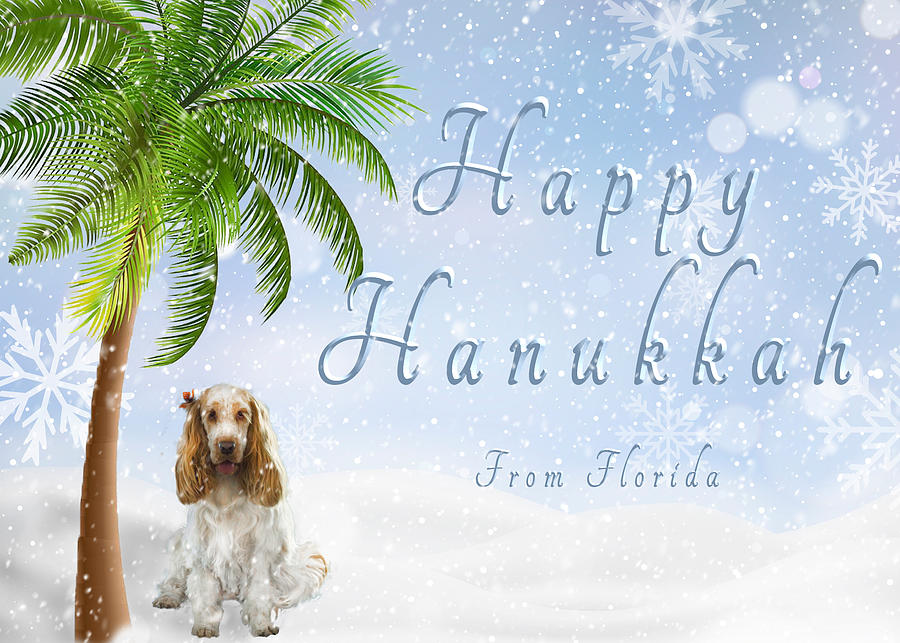 Spaniel Tropical Hanukkah Photograph by Susan Molnar