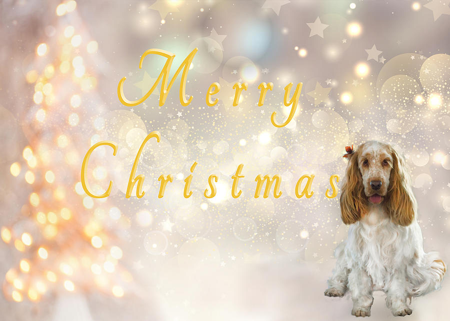 Spaniel with Gold Tree and Text Photograph by Susan Molnar