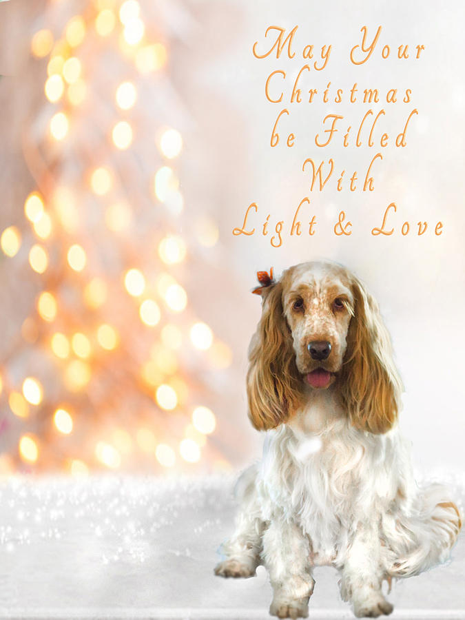 Spaniel with Gold Tree Photograph by Susan Molnar