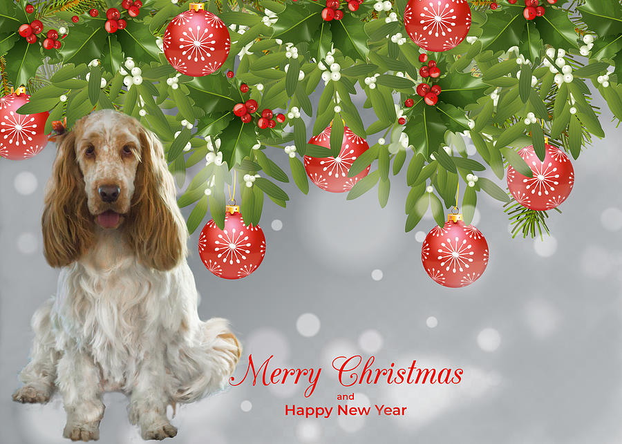Spaniel with Red Ornaments Photograph by Susan Molnar
