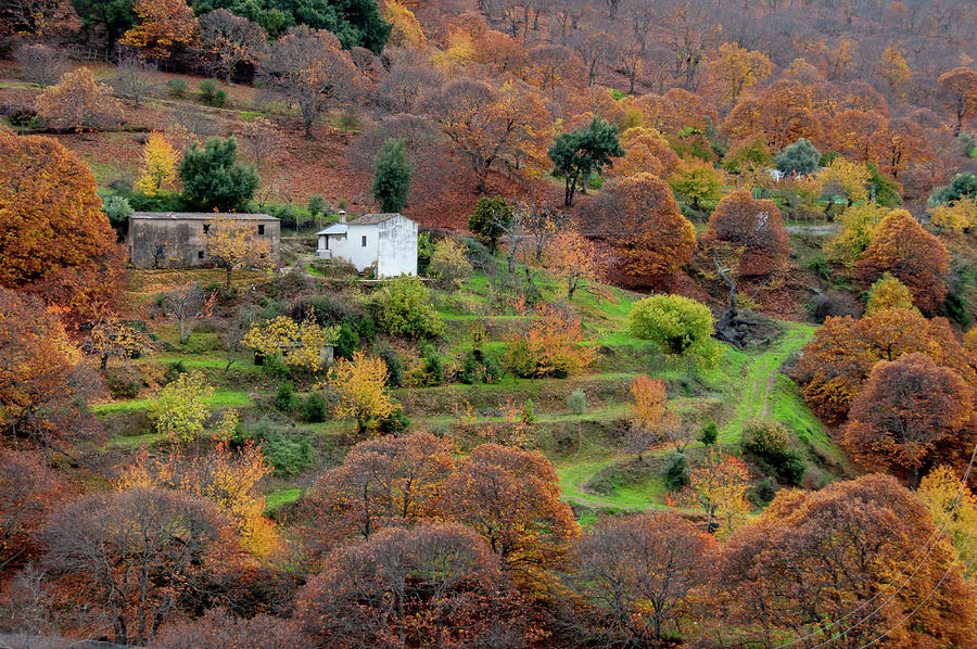 Spanish Countryside In Fall Photograph by Naomi Maya