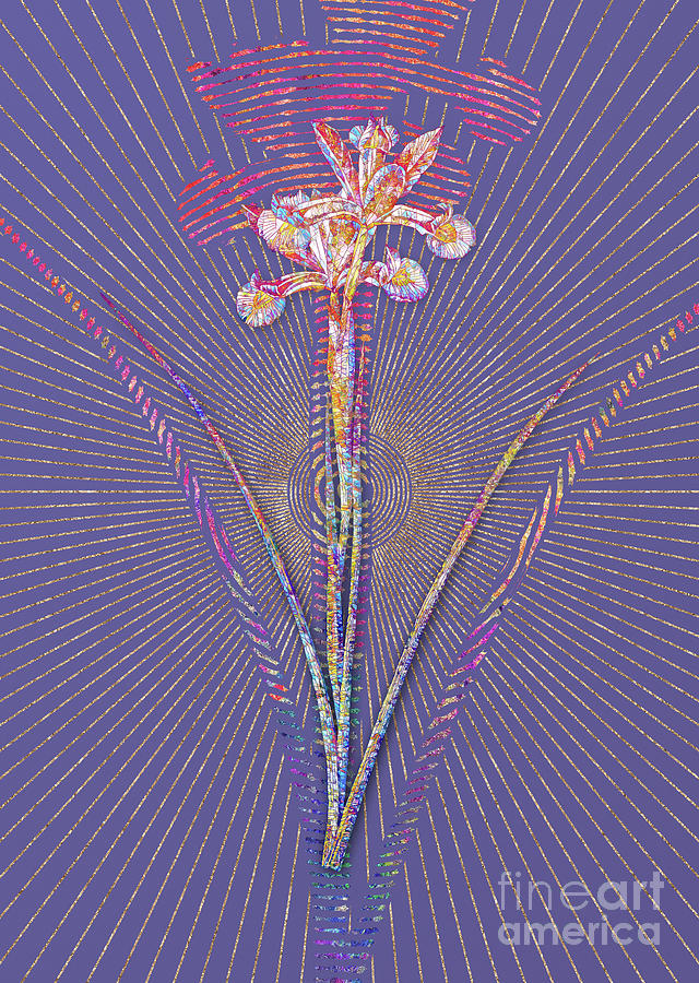 Spanish Iris Mosaic Botanical Art on Veri Peri n.0368 Mixed Media by Holy Rock Design