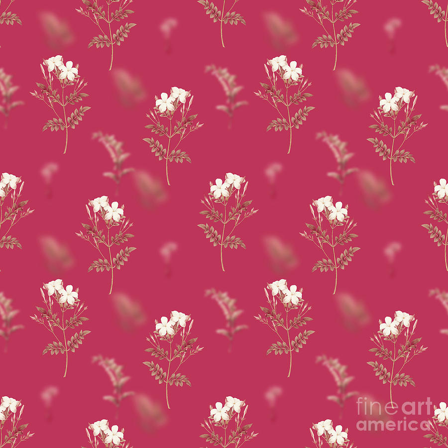 Vintage Mixed Media - Spanish Jasmine Botanical Seamless Pattern in Viva Magenta n.0852 by Holy Rock Design