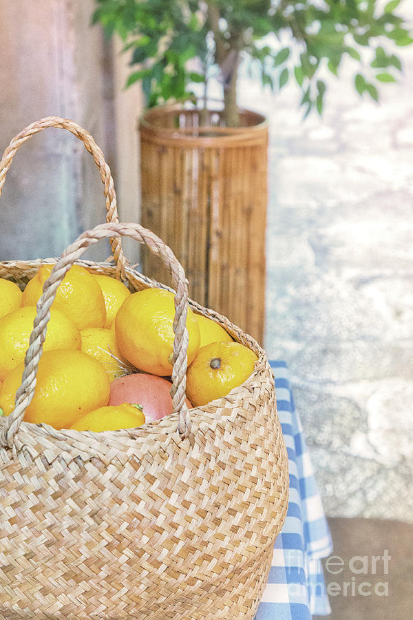 Spanish Lemons Photograph by Becqi Sherman