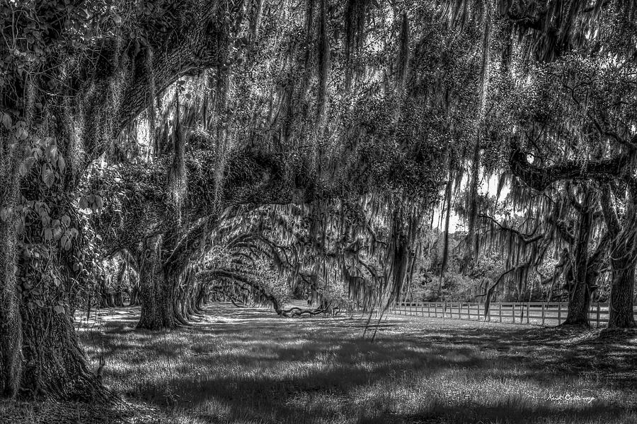 Spanish Moss Shadows Tomotley Plantation B W Live Oaks Lowcountry South Carolina Art Photograph by Reid Callaway