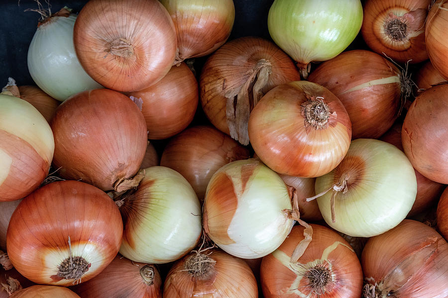 Spanish Onions at Market Photograph by Bradford Martin