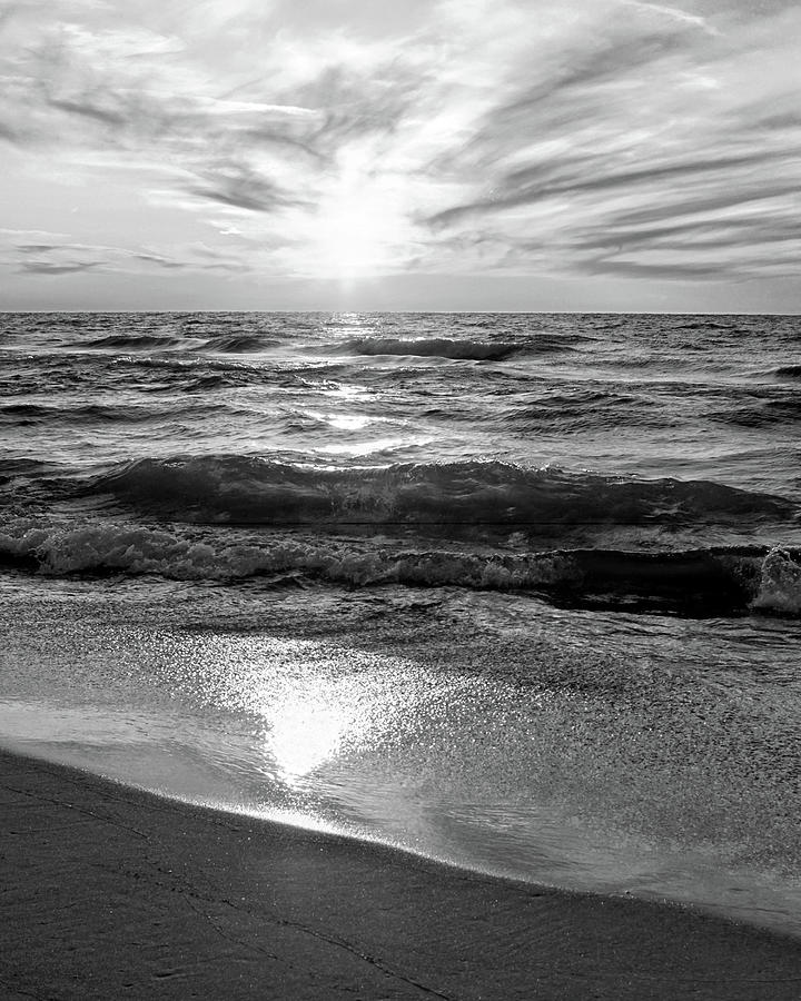 Sparkle and Gleam Black and White Photograph by Kathi Mirto