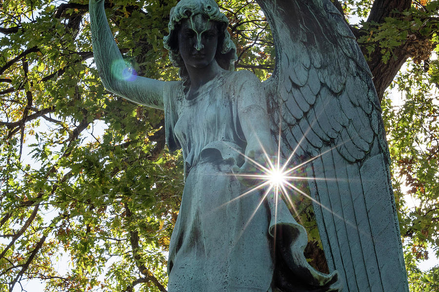 Sparkling Angel Photograph by Kimberly Mackowski