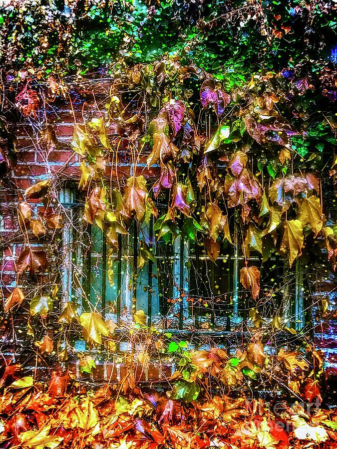 Sparkling Autumn Window Mixed Media by Lauries Intuitive
