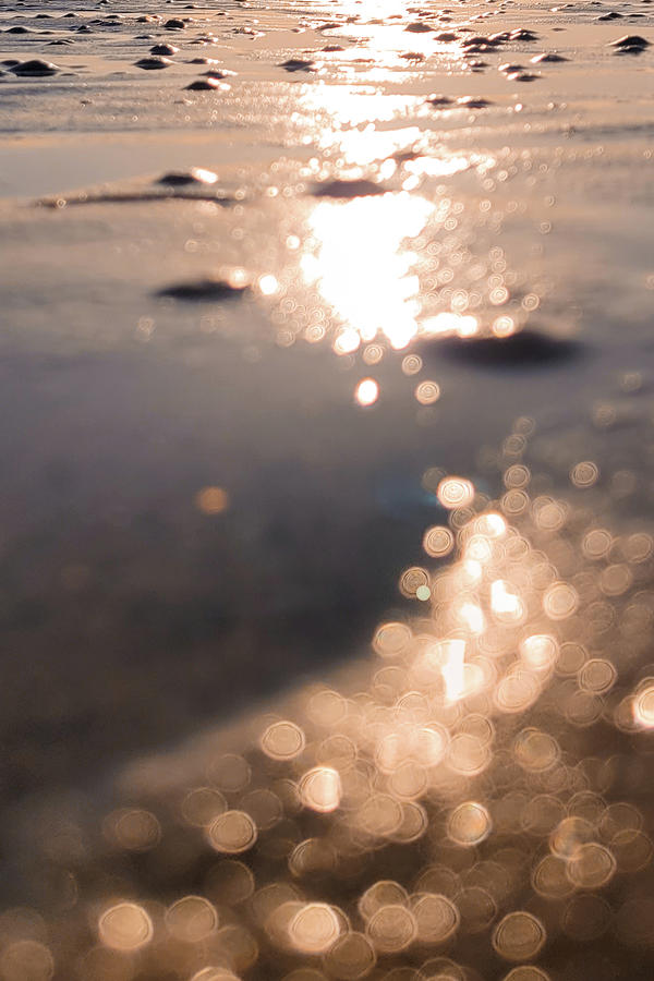 Sparkling Shore Photograph by Bonny Puckett