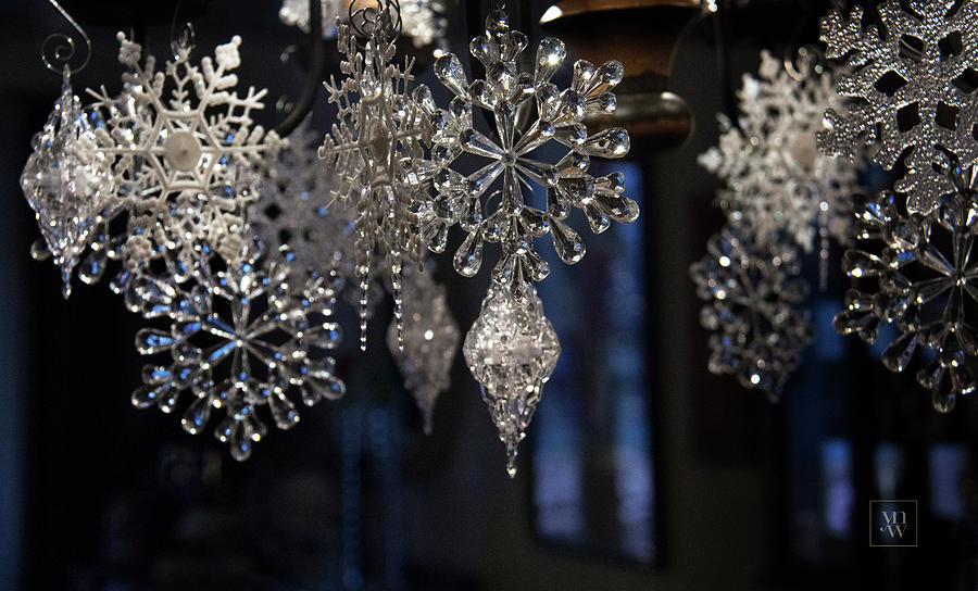 Sparkling Snowflakes Photograph by Yvonne Wright