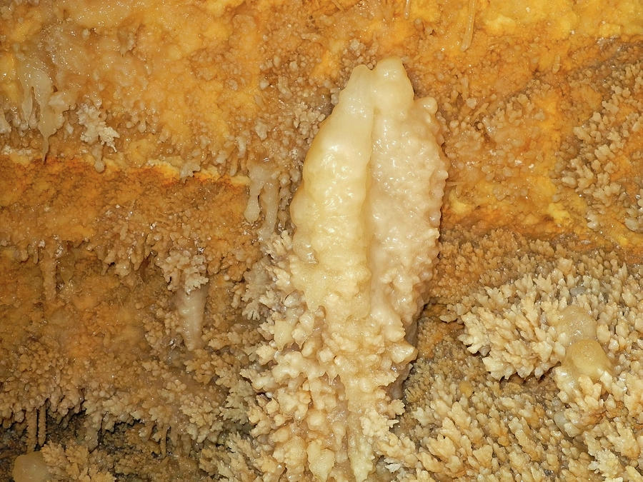 Sparkling Stalagmite on the Cave Wall Photograph by Lynda Lehmann