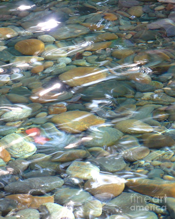 Landscape Photograph - Sparkling Water on Rocky Creek by Carol Groenen