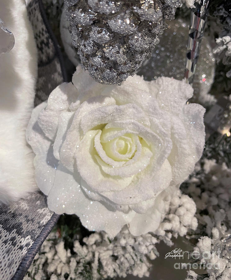 Sparkling White Rose Photograph by CAC Graphics