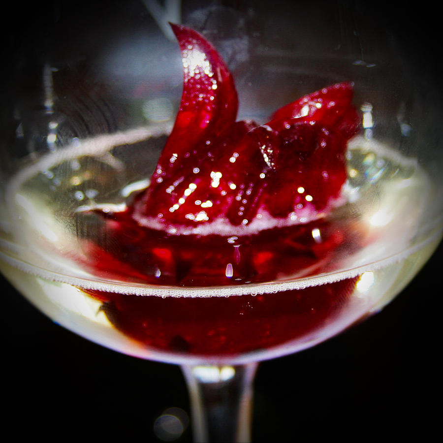 Sparkling Wine with Hibiscus Flower Photograph by Bonny Puckett