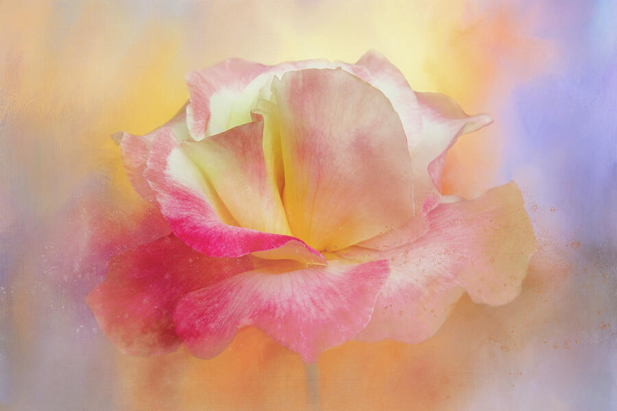 Sparkly Bloom Digital Art by Terry Davis - Fine Art America
