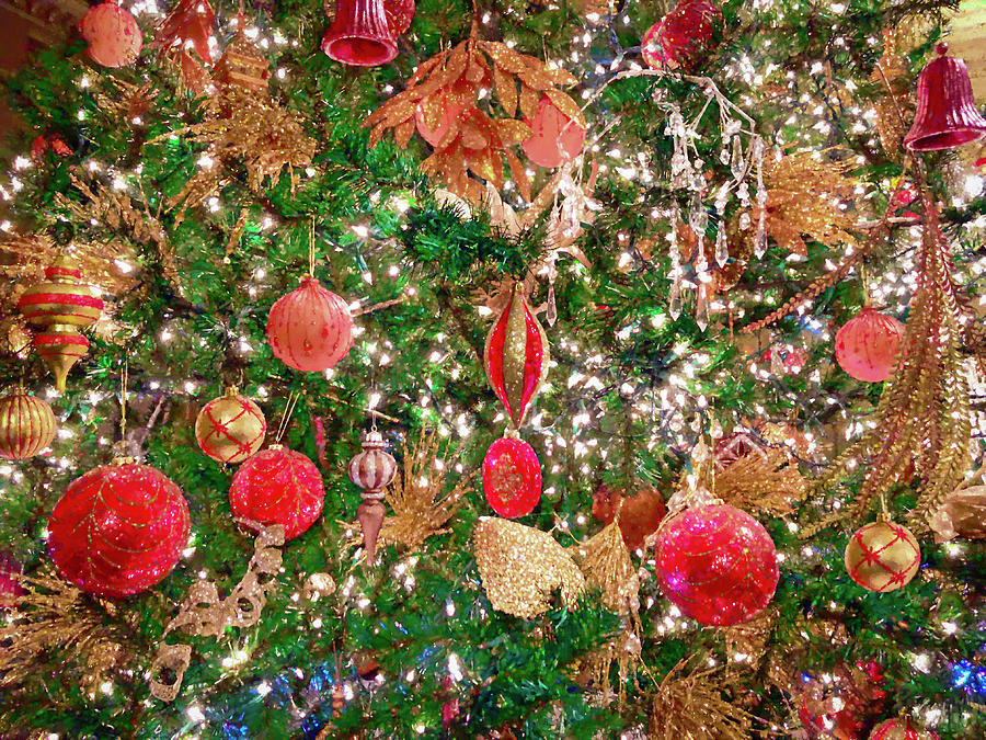 Sparkly Christmas Tree Photograph by Bonnie Follett
