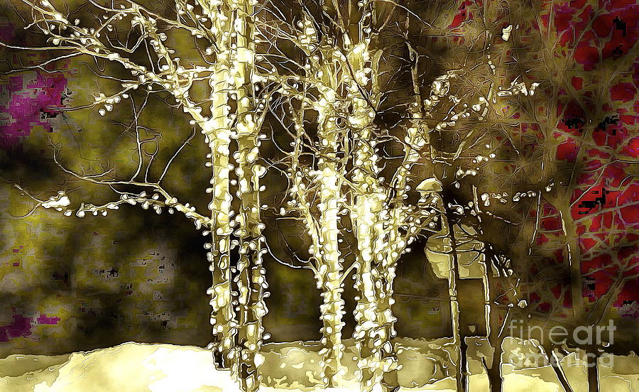 Sparkly Trees in a Winter Wonderland One Photograph by Sea Change Vibes
