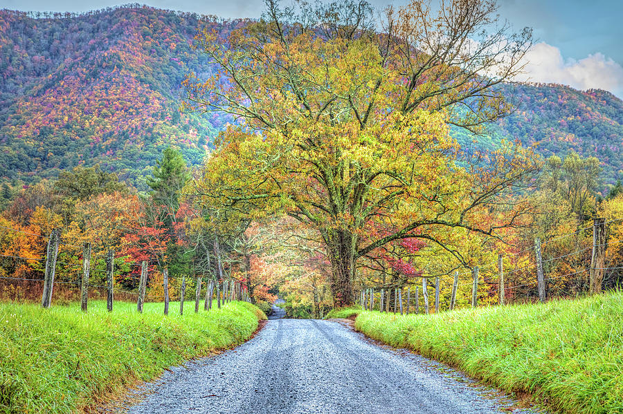 Sparks Lane at Cades Cove Townsend Tennessee Photograph by Debra and Dave Vanderlaan