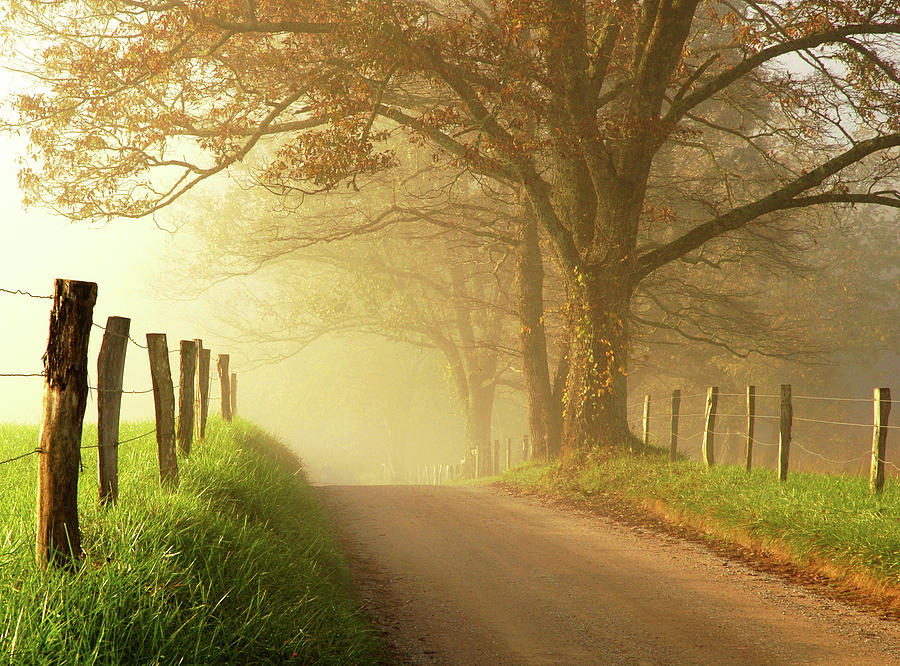 Sparks Lane, Cades Cove Photograph by Alice Scoggins - Fine Art America