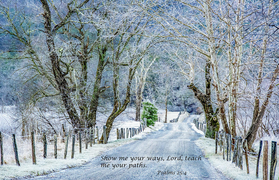 Sparks Lane, Frosted Beauty With Scripture Photograph by Marcy Wielfaert