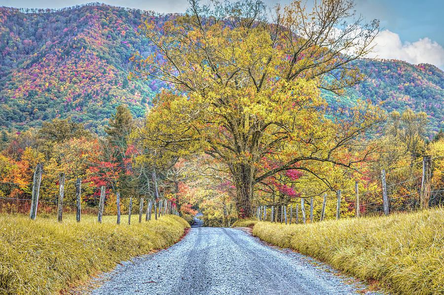 Sparks Lane in Autumn at Cades Cove Townsend Tennessee Photograph by Debra and Dave Vanderlaan