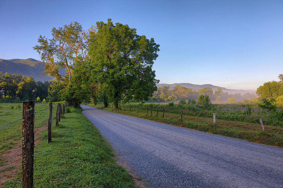 Sparks Lane in the Morning Photograph by Claudia Domenig - Fine Art America