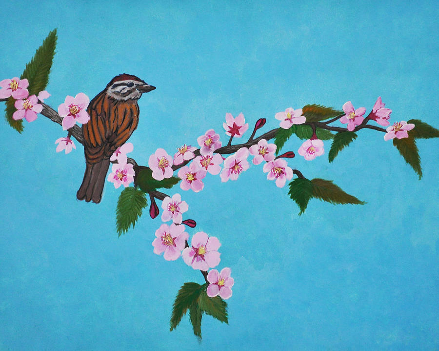 Sparrow and Cherry Blossom Painting by Robert Smith