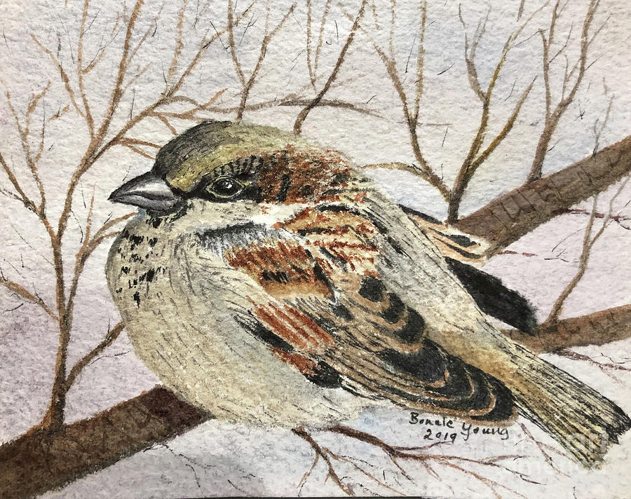 Sparrow Painting by Bonnie Young