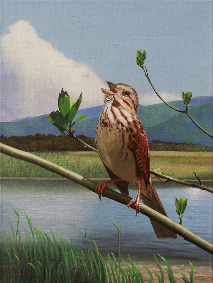 Sparrow Painting by Chris Busch